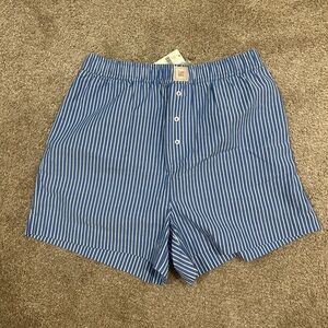 Anthropologie Blue Striped Women's Shorts